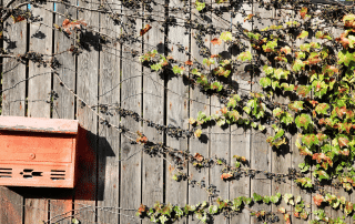 Briefkasten an Holzwand