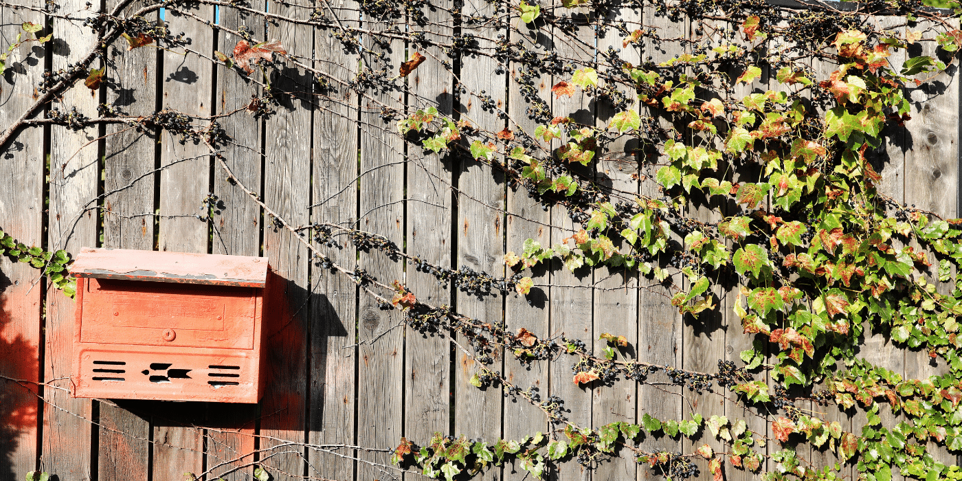 Briefkasten an Holzwand