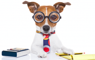 Hund mit Brille