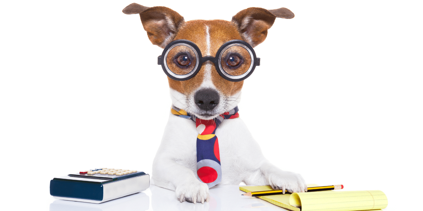Hund mit Brille